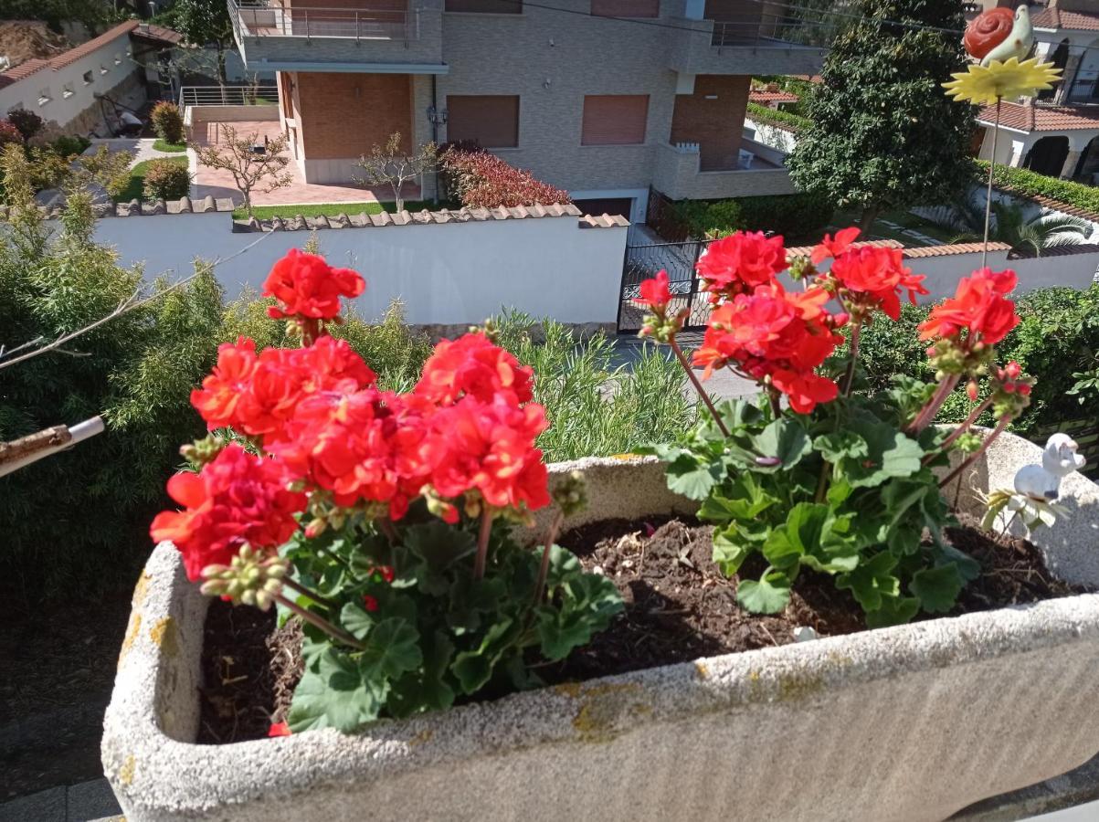 Villa Nerina Alloggio Turistico Anzio Eksteriør bilde